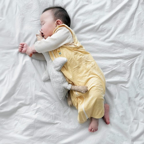Baby Sleeping Bag